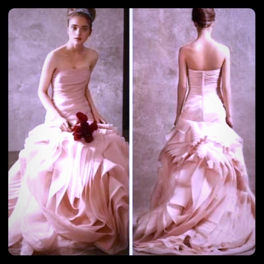 Size 16 Vera Wang David’s Bridal Wedding Dress
